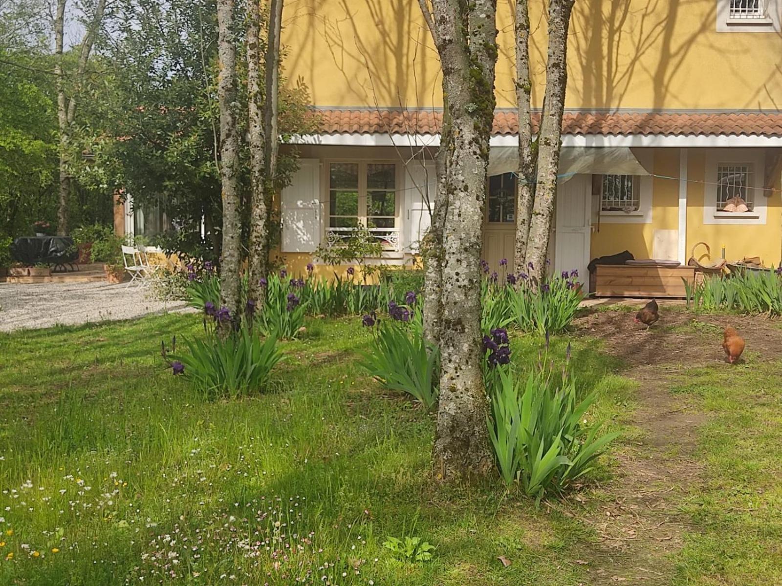 La Frenaie Bed & Breakfast Saint-Cyr-sur-le-Rhone Exterior photo